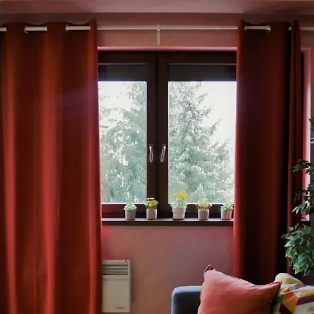 Dream زلاتيبور